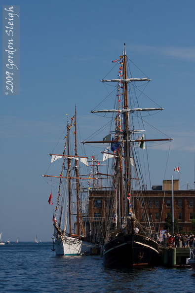 IMG_7627.jpg