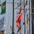 IMG 7631