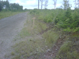 IMG00017-20090712-1339