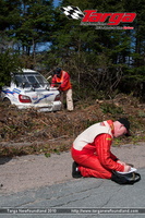 IMG 0342-2
